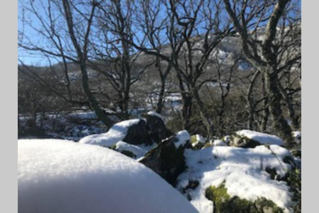 Vuelos De Montana L Montánchez Zewnętrze zdjęcie
